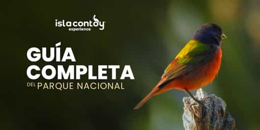 Guía completa del Parque Nacional Isla Contoy