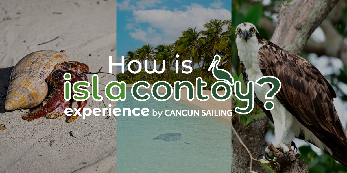 20 Isla Contoy tour photos you will totally love